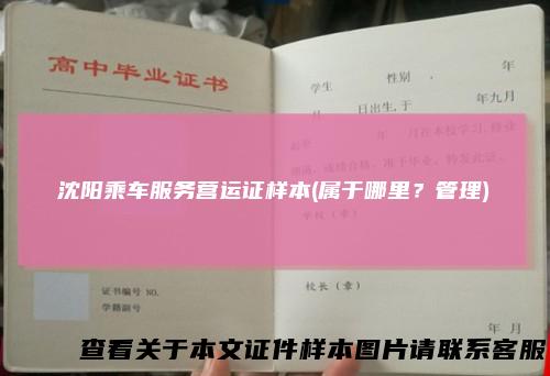 沈阳乘车服务营运证样本(属于哪里？管理)