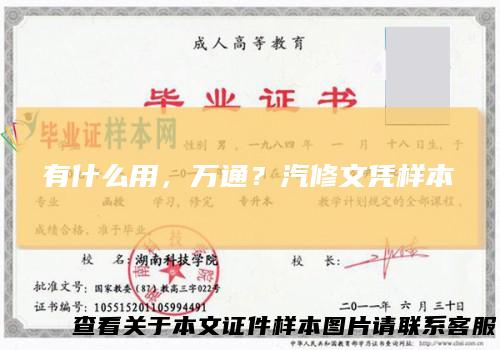 有什么用，万通？汽修文凭样本