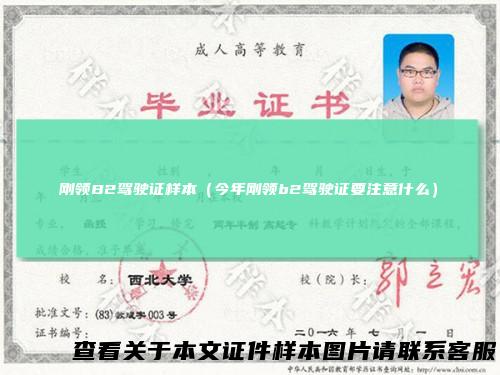 刚领B2驾驶证样本（今年刚领b2驾驶证要注意什么）