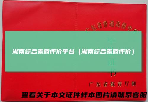 湖南综合素质评价平台（湖南综合素质评价）