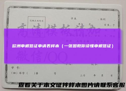 欧洲申根签证申请表样本（一张图教你读懂申根签证）