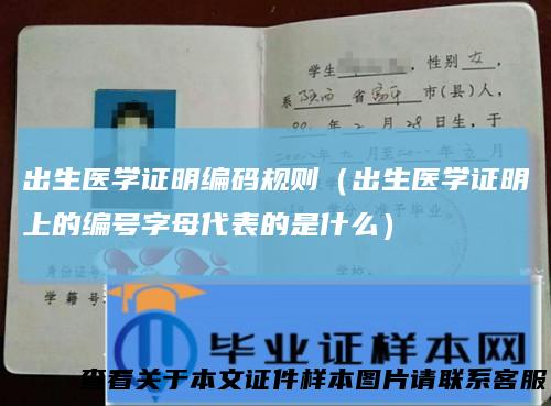 出生医学证明编码规则（出生医学证明上的编号字母代表的是什么）