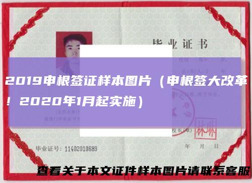 2019申根签证样本图片（申根签大改革！2020年1月起实施）