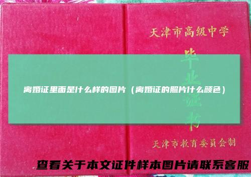 离婚证里面是什么样的图片（离婚证的照片什么颜色）