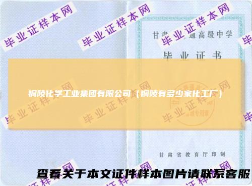 铜陵化学工业集团有限公司（铜陵有多少家化工厂）