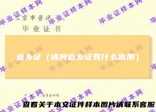 返乡证（请问返乡证有什么做用）