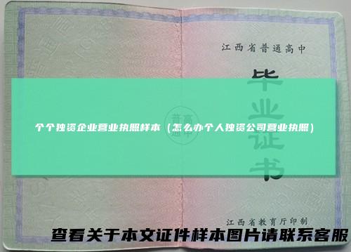 个个独资企业营业执照样本(怎么办个人独资公司营业执照)