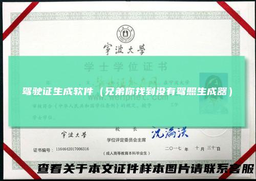 驾驶证生成软件（兄弟你找到没有驾照生成器）
