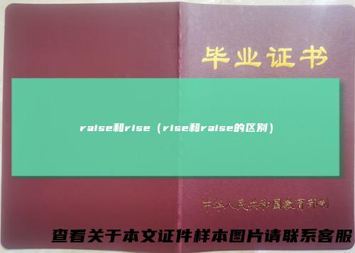 raise和rise（rise和raise的区别）