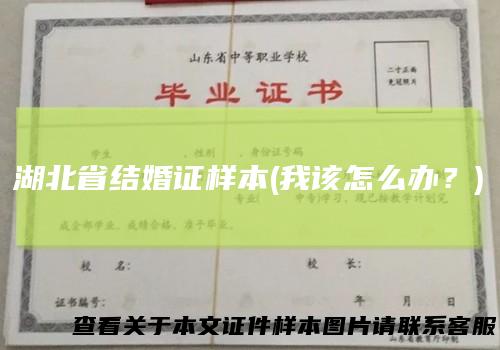 湖北省结婚证样本(我该怎么办？)