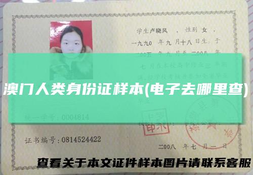 澳门人类身份证样本(电子去哪里查)