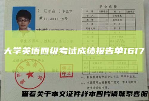 大学英语四级考试成绩报告单1617