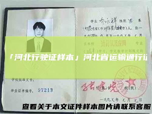 「河北行驶证样本」河北省运输通行证
