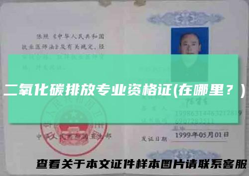 二氧化碳排放专业资格证(在哪里？)