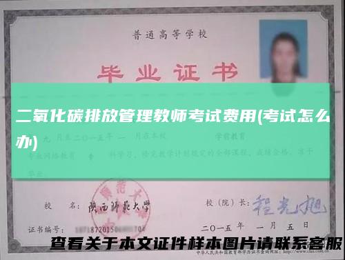 二氧化碳排放管理教师考试费用(考试怎么办)