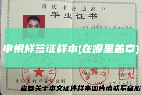 申根样签证样本(在哪里盖章)