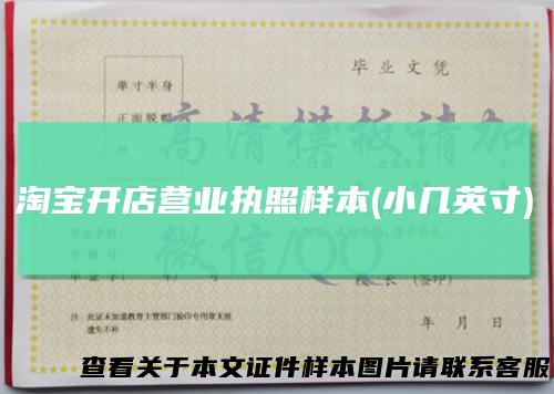 淘宝开店营业执照样本(小几英寸)
