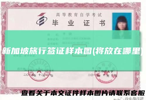 新加坡旅行签证样本图(将放在哪里)