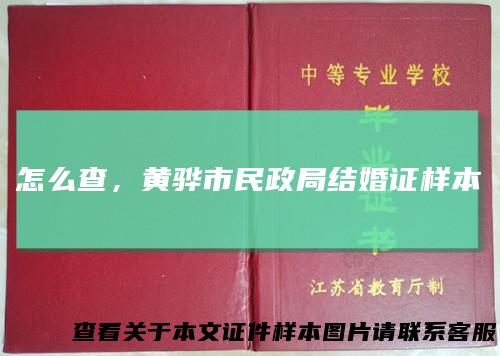 怎么查，黄骅市民政局结婚证样本