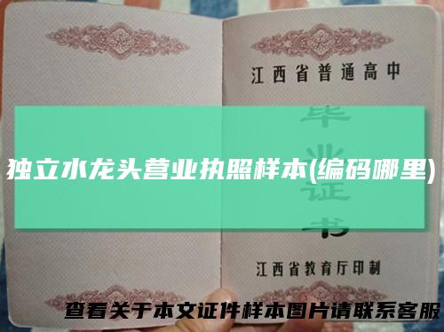 独立水龙头营业执照样本(编码哪里)