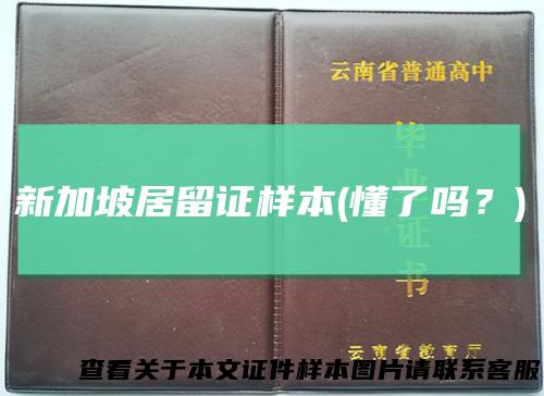 新加坡居留证样本(懂了吗？)