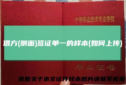 借方(侧面)签证单一的样本(如何上传)