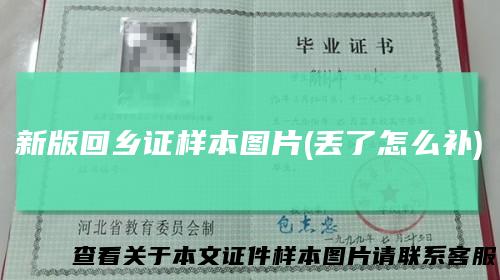 新版回乡证样本图片(丢了怎么补)