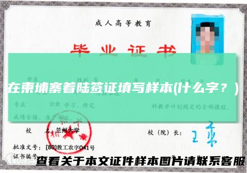 在柬埔寨着陆签证填写样本(什么字?)
