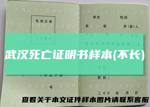 武汉死亡证明书样本(不长)