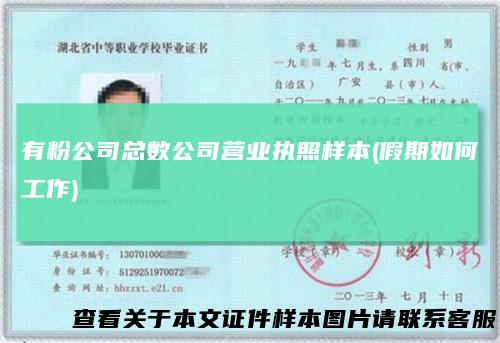 有粉公司总数公司营业执照样本(假期如何工作)