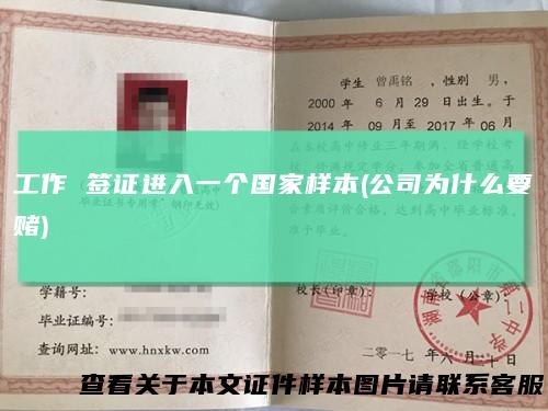 工作签证进入一个国家样本(公司为什么要赌)
