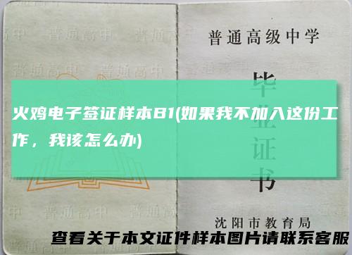 火鸡电子签证样本B1(如果我不加入这份工作，我该怎么办)