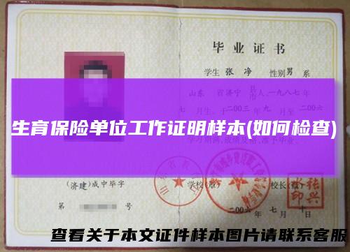 生育保险单位工作证明样本(如何检查)