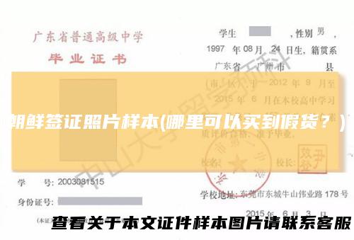 朝鲜签证照片样本(哪里可以买到假货？)