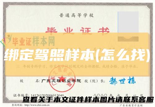 绑定驾照样本(怎么找)