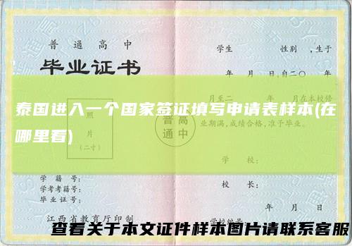 泰国进入一个国家签证填写申请表样本(在哪里看)