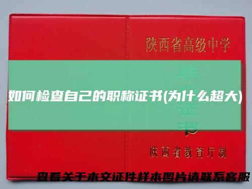 如何检查自己的职称证书(为什么超大)