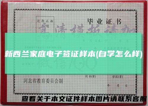 新西兰家庭电子签证样本(自学怎么样)