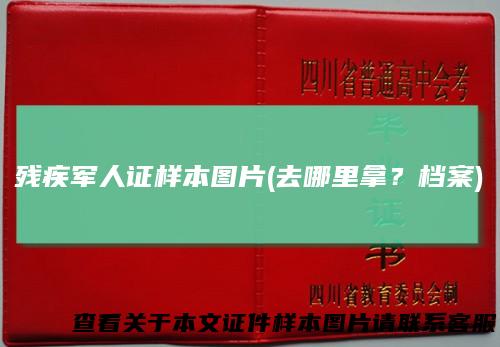 残疾军人证样本图片(去哪里拿？档案)