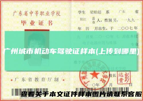 广州城市机动车驾驶证样本(上传到哪里)