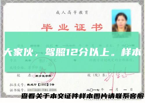 大家伙，驾照12分以上。样本