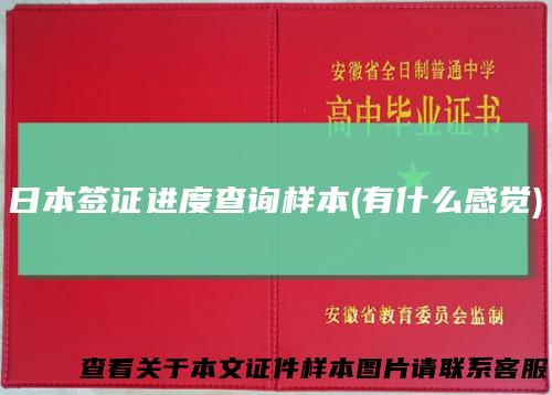 日本签证进度查询样本(有什么感觉)