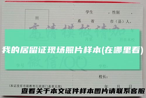 我的居留证现场照片样本(在哪里看)