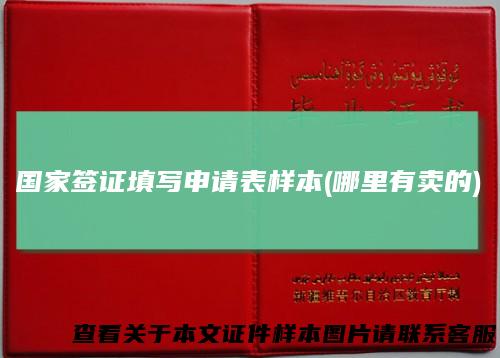 国家签证填写申请表样本(哪里有卖的)