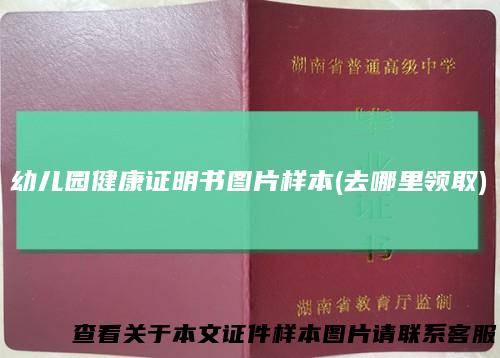 幼儿园健康证明书图片样本(去哪里领取)