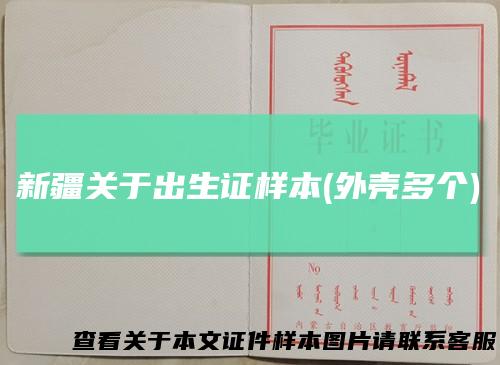 新疆关于出生证样本(外壳多个)