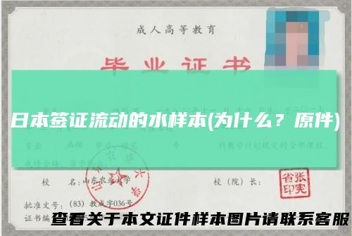 日本签证流动的水样本(为什么？原件)