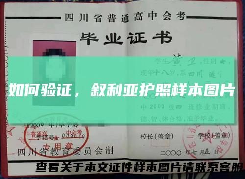 如何验证，叙利亚护照样本图片