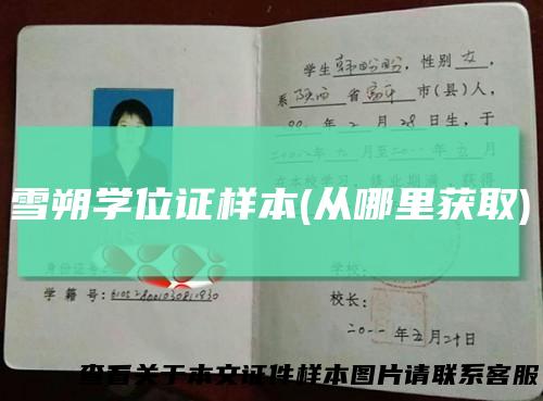 雪朔学位证样本(从哪里获取)