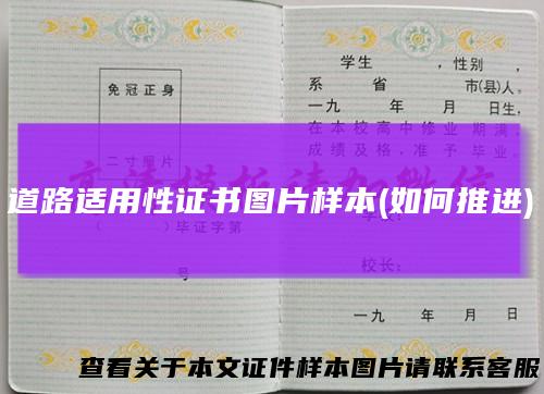 道路适用性证书图片样本(如何推进)